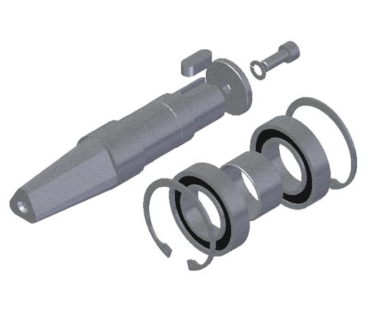 TROMMELACHSE, MÄNNLICH